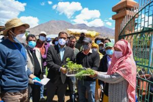 DC Kargil inaugurates distribution of vegetable seedlings among farmers