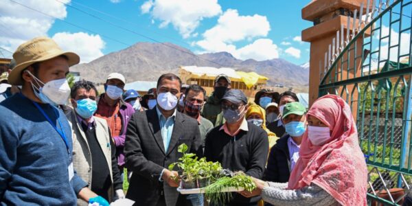 DC Kargil inaugurates distribution of vegetable seedlings among farmers