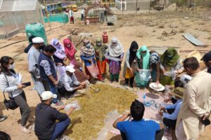 Baseej Zaraat wa Baghbani Kargil conduct training session on Mushroom cultivation