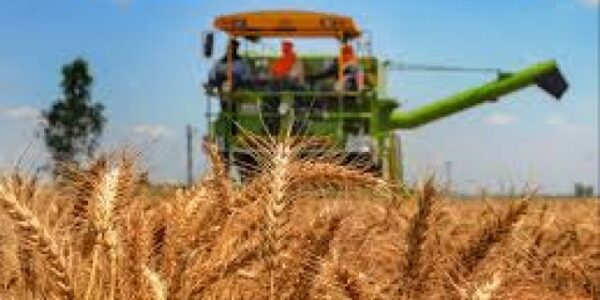 گلگت بلتستان میں گندم کی بین الاضلاع ترسیل پر پابندی عائد کر دی جائے گی.چیئرمین قائمہ کمیٹی