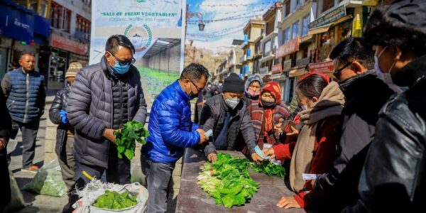 Farmers sell fresh vegetables produced in Ladakh Greenhouses