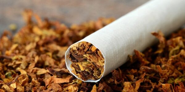 A Call for Pragmatism: Rethinking Tobacco Harm Reduction on the Global Stage