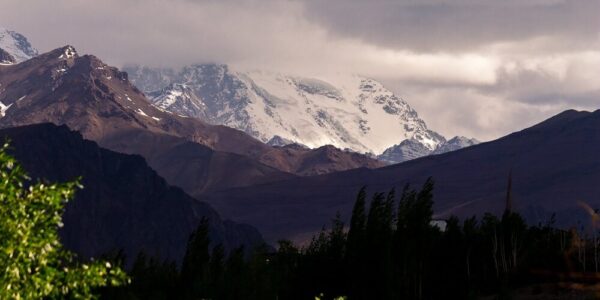 Are small isolated communities like Ladakh a curse?