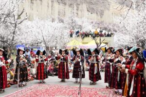 Apricot Blossom Festival concludes in Hardass village